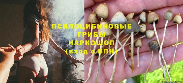 шишки Алзамай