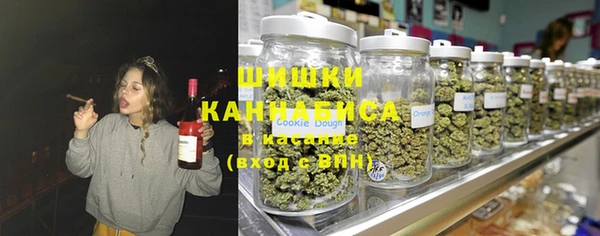 шишки Алзамай