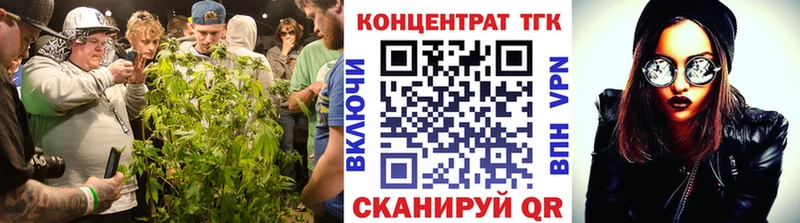 закладки  Петрозаводск  ТГК Wax 