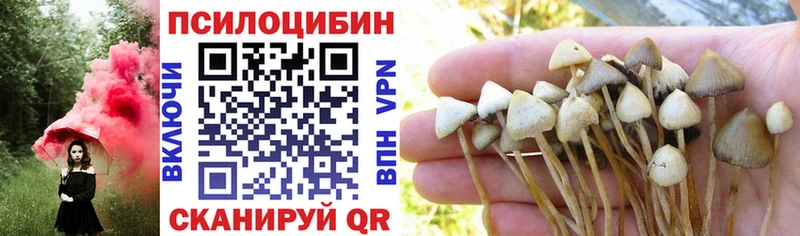 Псилоцибиновые грибы Cubensis  Петрозаводск 