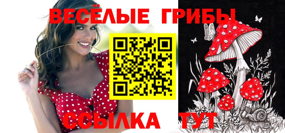 даркнет сайт  Вход с VPN  Петрозаводск  Псилоцибиновые грибы прущие грибы 