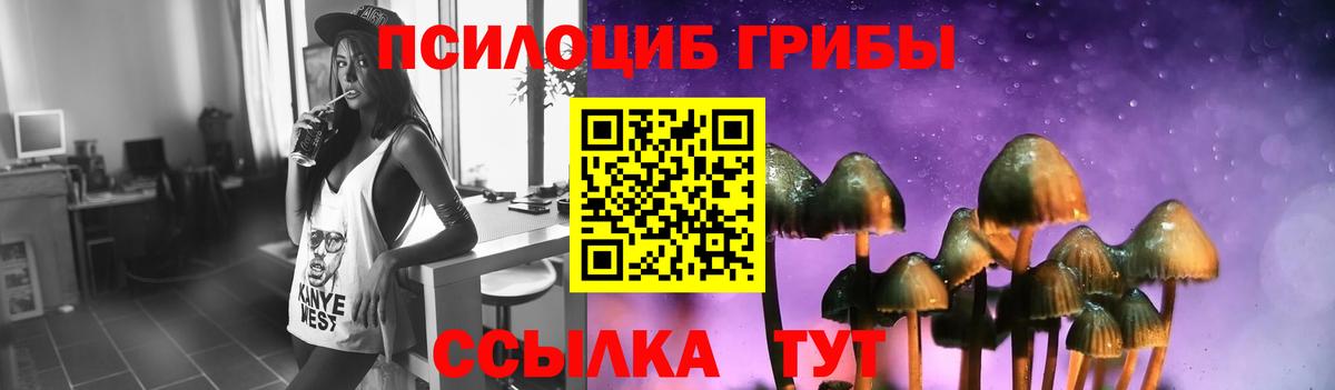 Галлюциногенные грибы GOLDEN TEACHER Петрозаводск